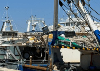L’individualismo nella pesca: un freno per lo sviluppo
