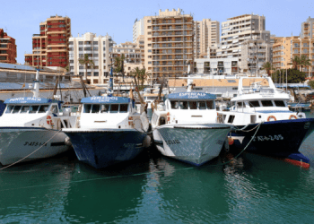 Pesca, Alleanza Cooperative: plauso al governo per il documento siglato con Francia e Spagna