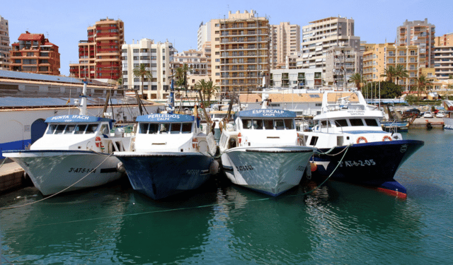 Pesca, Alleanza Cooperative: plauso al governo per il documento siglato con Francia e Spagna