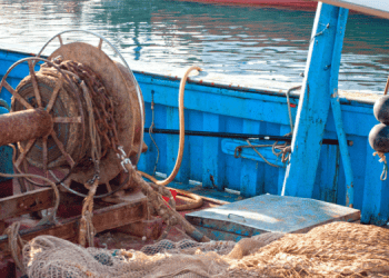 Pesca. Ddl bilancio, poche mosse per alleviare emergenza settore