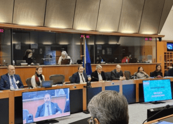 Verso una pesca sostenibile con Pillars of the Sea 3