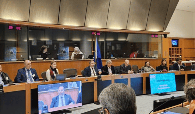 Verso una pesca sostenibile con Pillars of the Sea 3