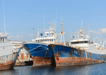 Accordo UE 2025. Dodici misure per una pesca sostenibile 