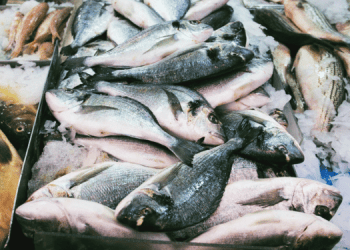 Come trasformare le certificazioni da ostacolo a opportunità