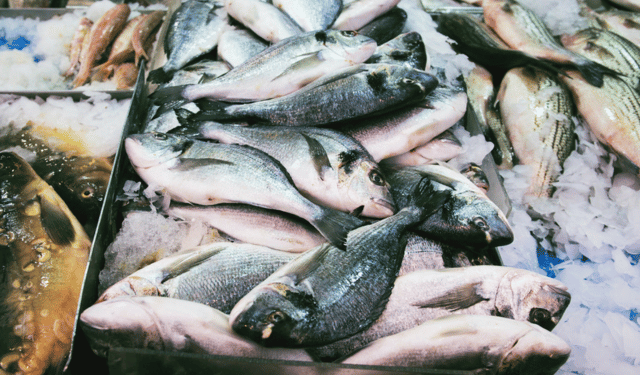 Come trasformare le certificazioni da ostacolo a opportunità