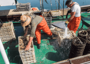Fedagripesca: bene via libera al decreto per copertura interessi bancari