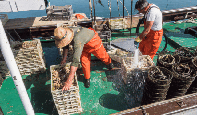 Fedagripesca: bene via libera al decreto per copertura interessi bancari