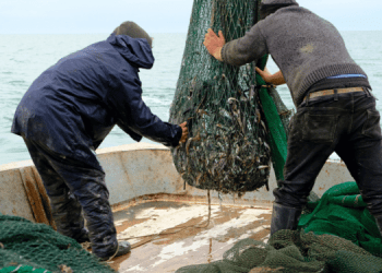 I silenziosi eroi del mare. Serve riconoscere con i fatti il valore dei pescatori
