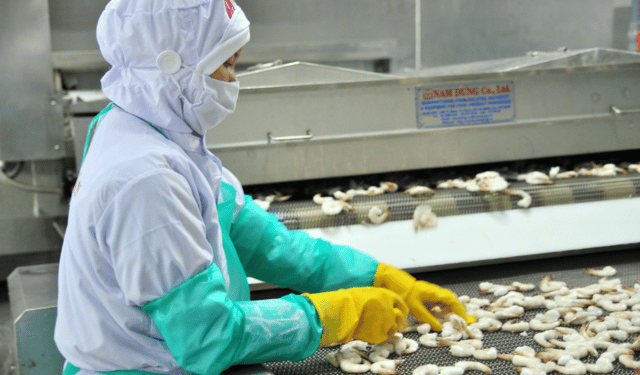 In UE crescono le importazioni di gamberi vietnamiti