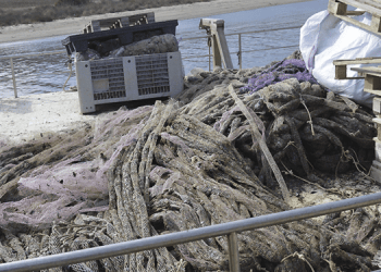 Mitilicoltura sempre più sostenibile