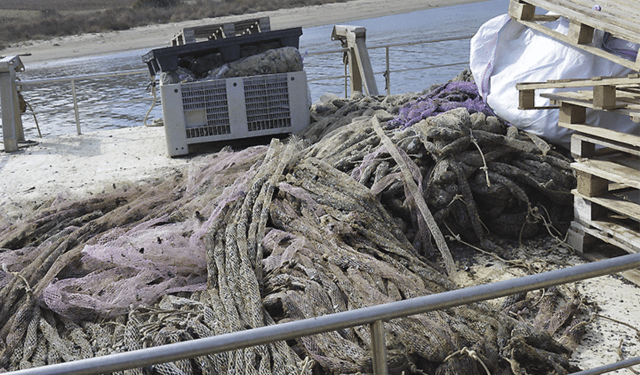 Mitilicoltura sempre più sostenibile