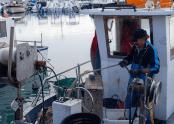 Nuovo appello delle ONG ai commissari Hoekstra e Kadis