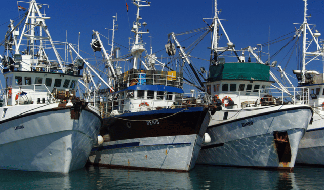 Possibilità di pesca 2025 per Atlantico, Mare del Nord, Mediterraneo e Mar Nero