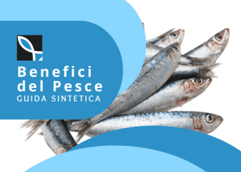 Scarica la guida sintetica sui benefici del pesce