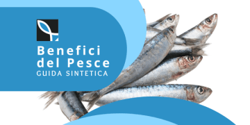 Scarica la guida sintetica sui benefici del pesce