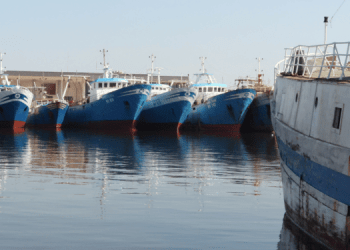 Bruxelles torna a discutere di pesca: focus su Mediterraneo e sostenibilità