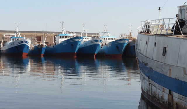 Bruxelles torna a discutere di pesca: focus su Mediterraneo e sostenibilità