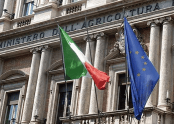 Domani presentazione "Piano Straordinario Granchio blu"