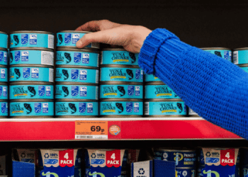 Il mercato ittico sostenibile nel Regno Unito e in Irlanda: un modello da seguire?