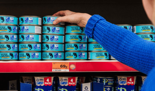 Il mercato ittico sostenibile nel Regno Unito e in Irlanda: un modello da seguire?