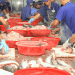 Il pangasio vietnamita perde quota nel mercato europeo