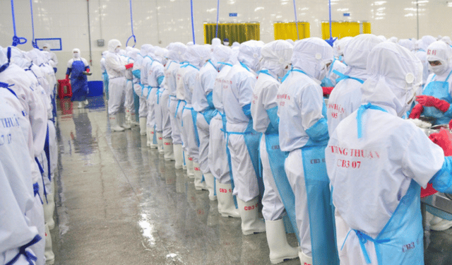 Il tonno vietnamita perde quota in Italia