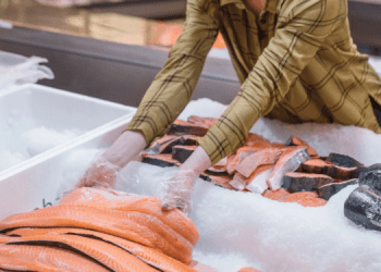 Italia e salmone: un mercato in espansione che ridefinisce le strategie globali
