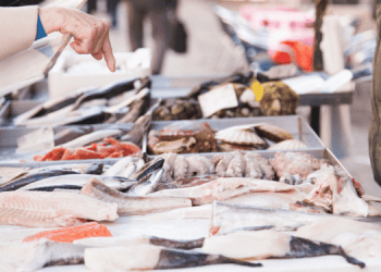 Italia protagonista del mercato ittico europeo