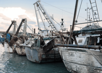La Politica Comune della Pesca sotto la lente