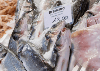 L'acquacoltura accelera e supera il pollame nella produzione di proteine