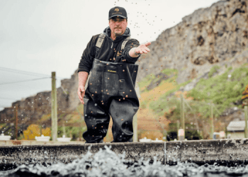 Mangimi responsabili: parte integrante del futuro dell'acquacoltura