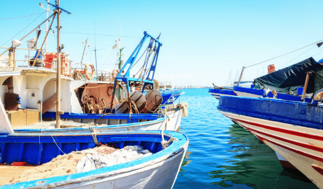 Pescherecci del Mediterraneo verso la decarbonizzazione