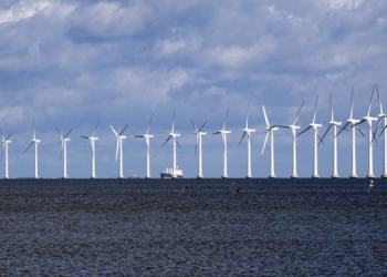 Pianificazione dello spazio marittimo: sostenibilità, innovazione e sfide per le Regioni Ultraperiferiche