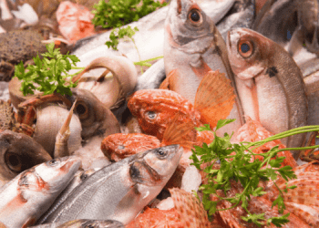 Pubblicità digitale in crescita. Nel 2025 l'industria ittica deve cavalcare l'onda