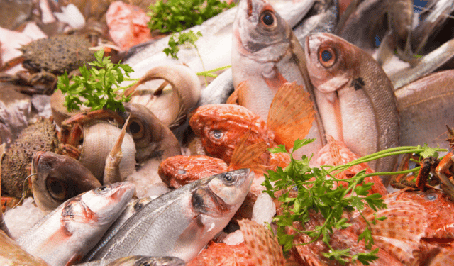 Pubblicità digitale in crescita. Nel 2025 l'industria ittica deve cavalcare l'onda