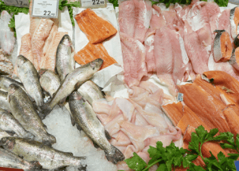 Il pesce norvegese conquista l’UE con importazioni senza dazi