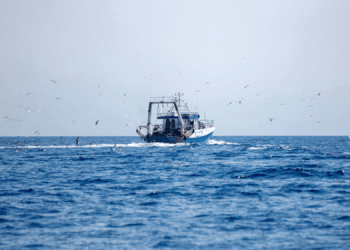 Sostenibilità: uso e abuso!