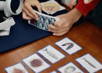 Un toolkit per promuovere la consapevolezza e l'accettabilità sociale dell'acquacoltura