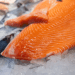 Crescita record per il salmone scozzese