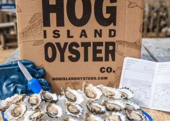 Hog Island Oyster. La sfida all'acidificazione degli oceani parte dai vivai