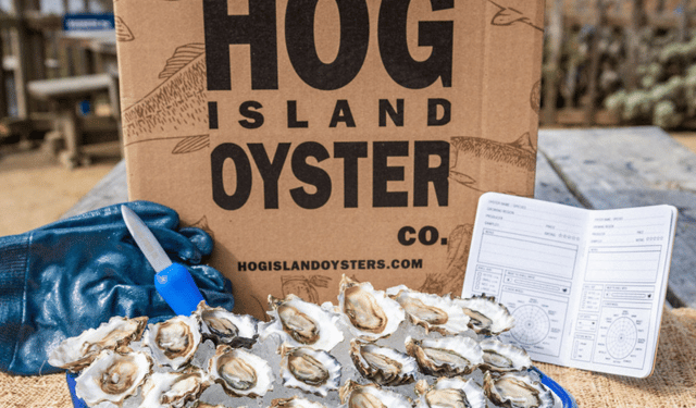 Hog Island Oyster. La sfida all'acidificazione degli oceani parte dai vivai