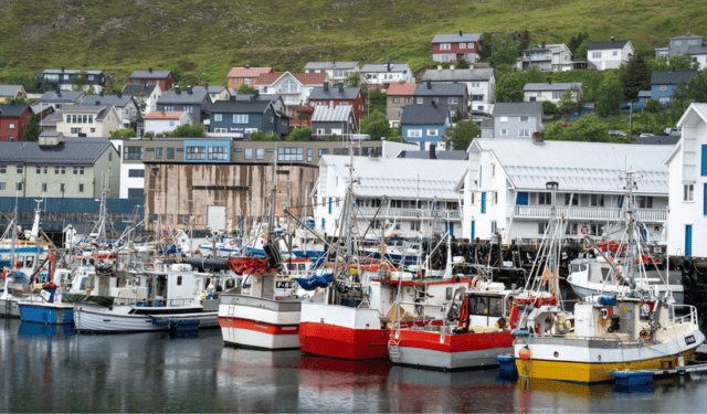 La Norvegia pesca aringhe e sgombri, ma non li consuma