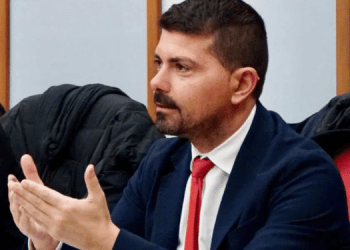 Emilia-Romagna: nuove proposte per tutela fauna e gestione uccelli ittiofagi