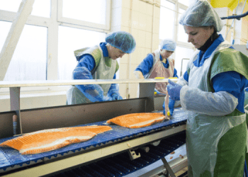 Nel 2024 cresciuti del 5% i programmi di certificazione GSA