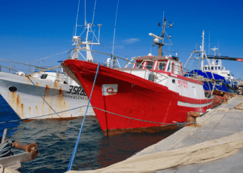 Per la prima volta pubblicate le statistiche su TAC e giorni in mare in UE