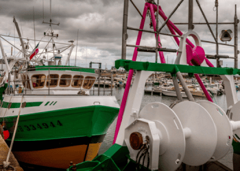 Pesca a strascico sotto attacco in Francia