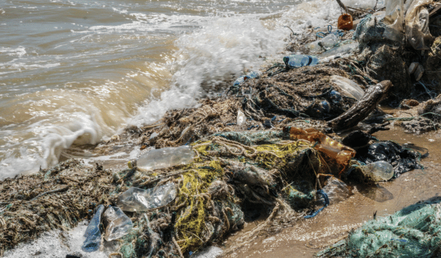 Plastica e rifiuti marini in calo del 29% lungo le coste UE
