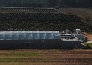 Pure Blue Fish: l'allevamento ittico che rispetta l'ambiente