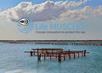 Avvio delle attività pilota del progetto Life Lifemuscles