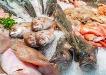 Sfide e opportunità nel nuovo Monthly Highlights di EUMOFA